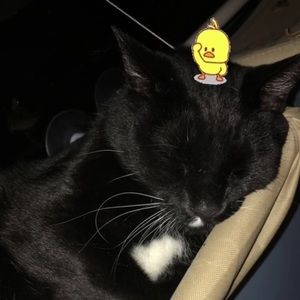 Meet your Posher, Joshua